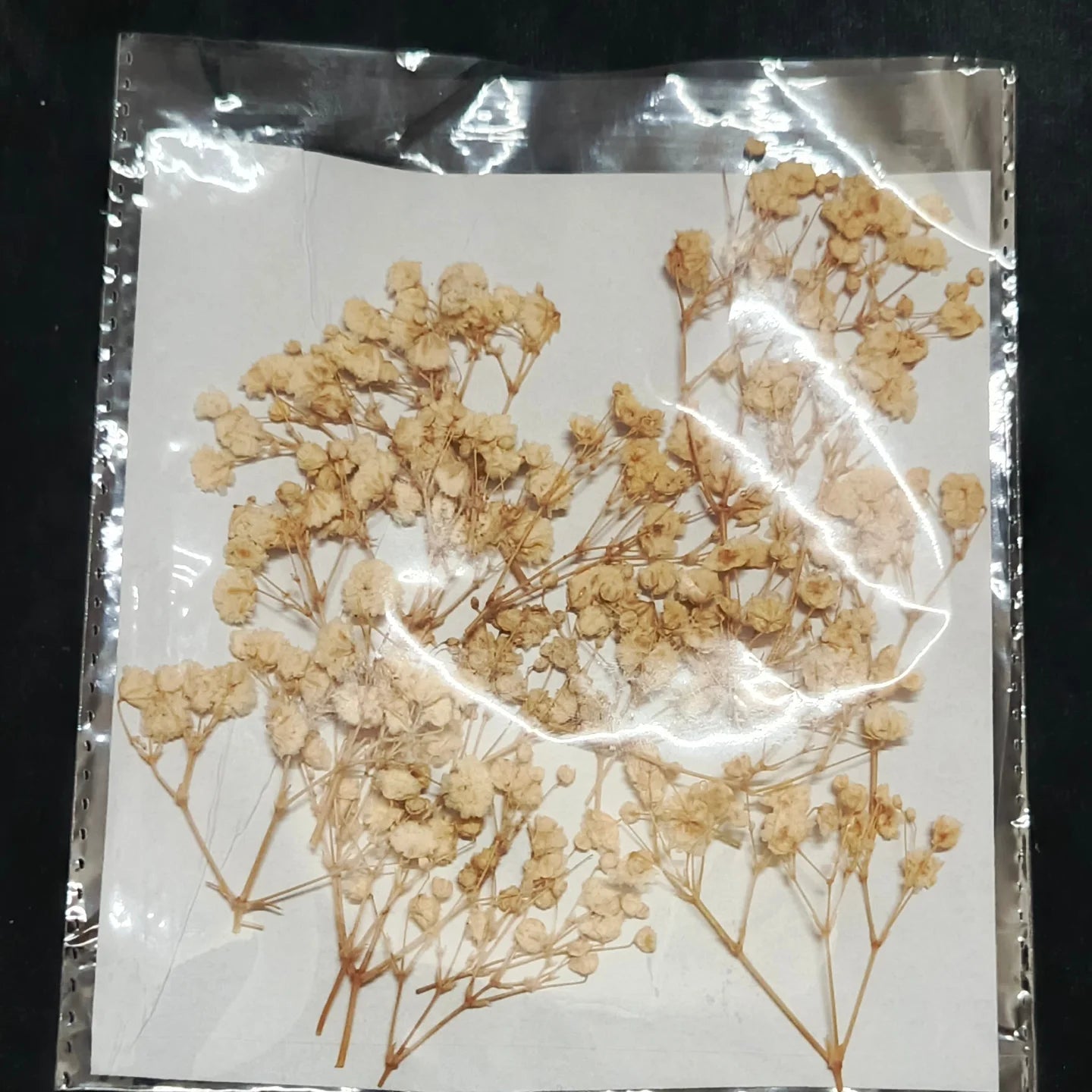 Pressed flowers