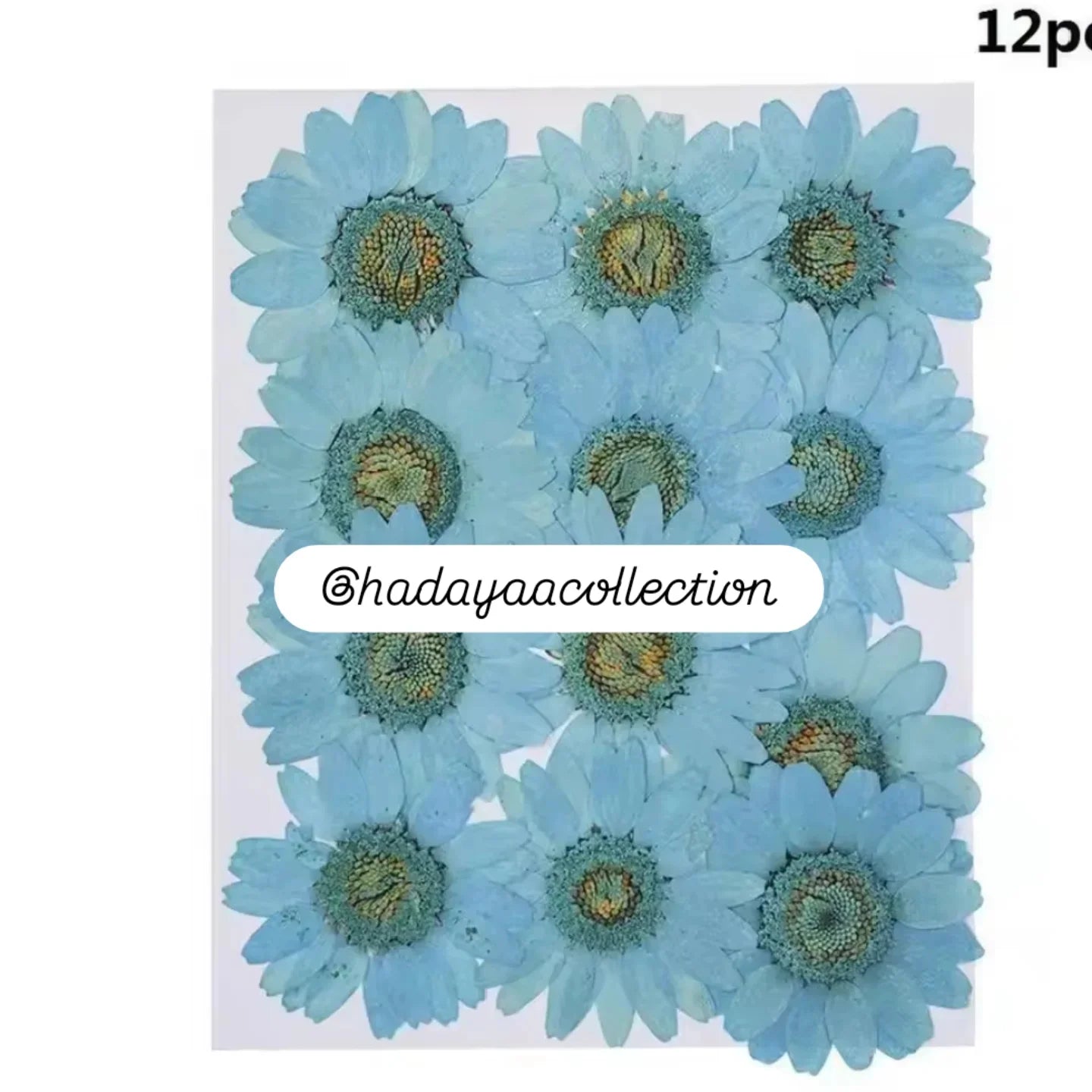 Pressed flowers
