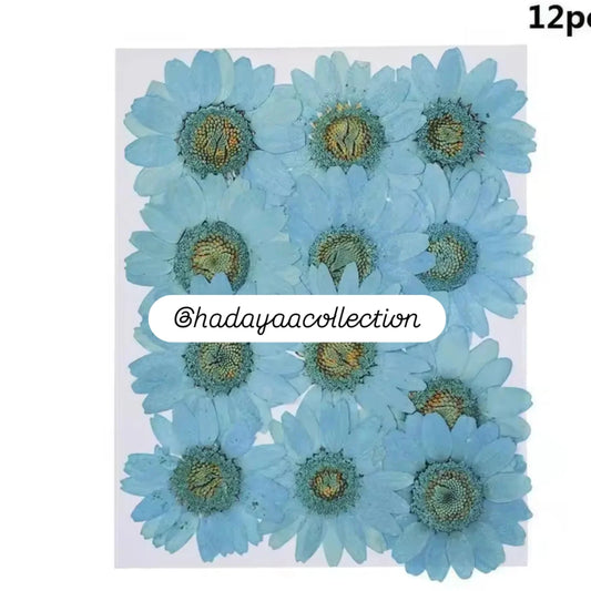 Pressed flowers